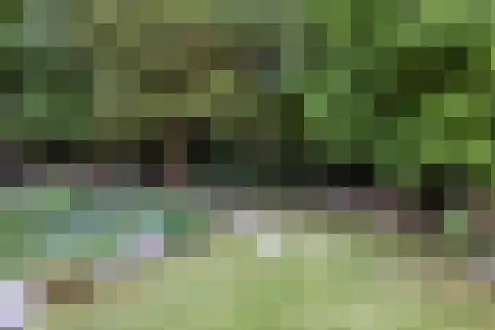 Mr dr Froweinweg 34 Eys thumbnail 26