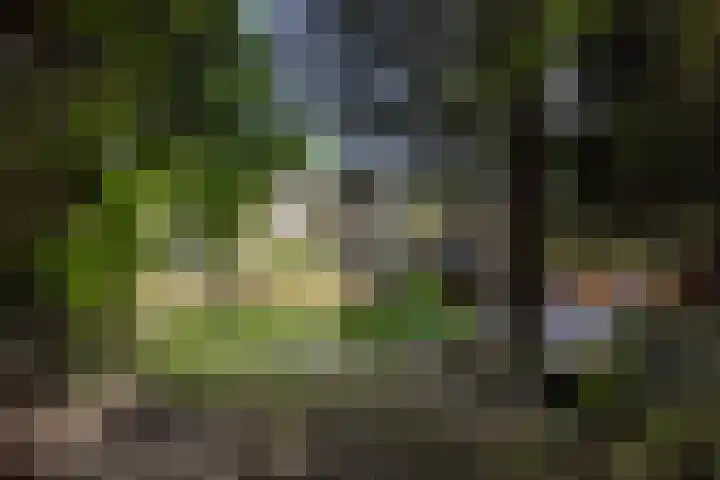 Mr dr Froweinweg 34 Eys thumbnail 27