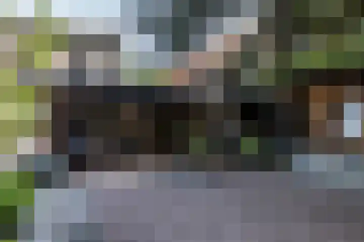 Mr dr Froweinweg 34 Eys thumbnail 29