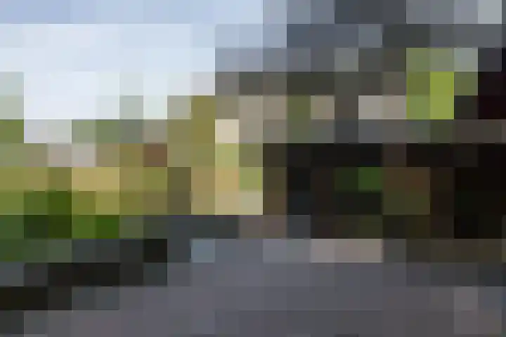 Mr dr Froweinweg 34 Eys thumbnail 30
