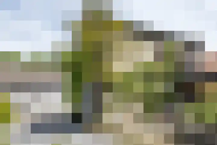 Mr dr Froweinweg 34 Eys thumbnail 31