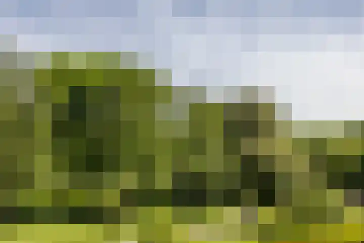 Mr dr Froweinweg 34 Eys thumbnail 35