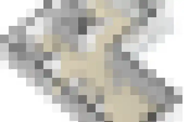 Mr dr Froweinweg 34 Eys thumbnail 37