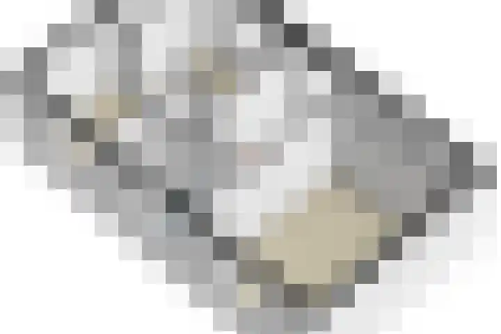 Mr dr Froweinweg 34 Eys thumbnail 39