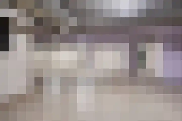Mr. Dr. Schokkingstraat 129 Veenendaal thumbnail 39