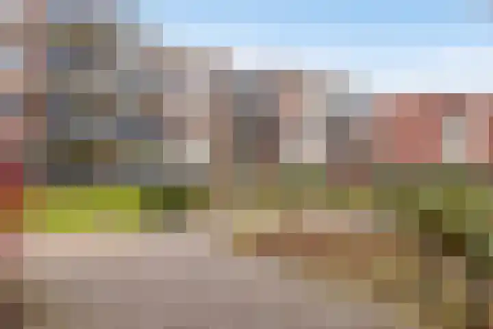 Mr. Dr. Schokkingstraat 129 Veenendaal thumbnail 9
