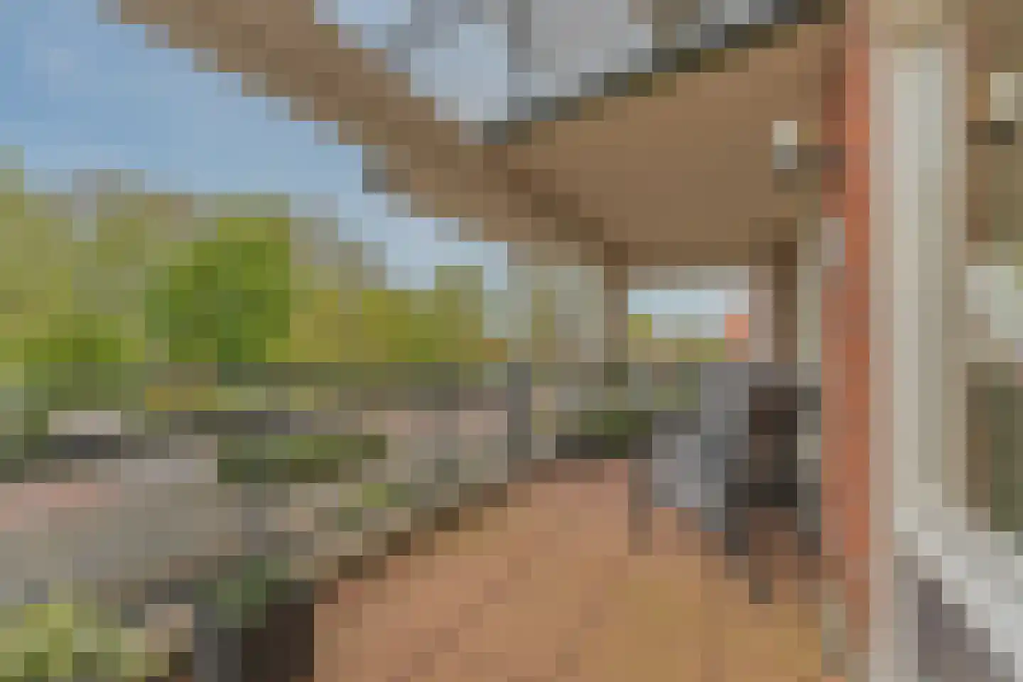 Mr. Dr. Schokkingstraat 55 Veenendaal thumbnail 20