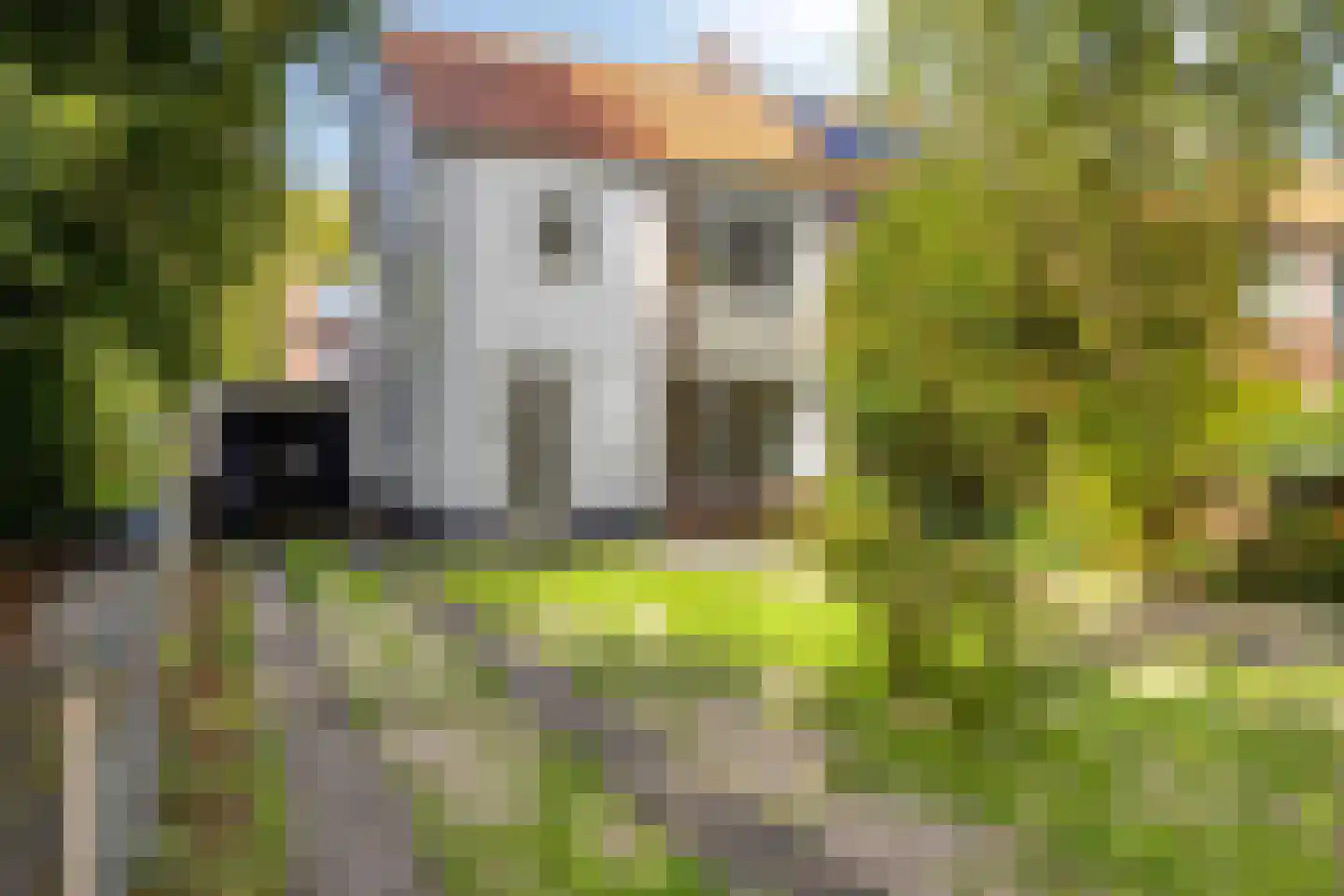 Mr. Dr. van den Helmlaan 10 Pijnacker thumbnail 13