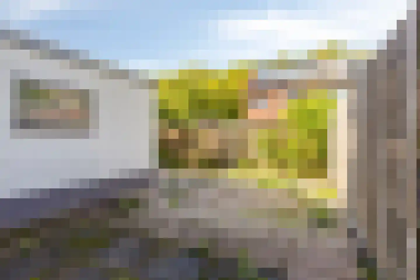Mr. Dr. van den Helmlaan 10 Pijnacker thumbnail 28