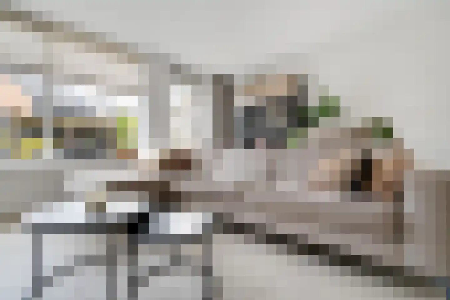 Mr.Eenhuisstraat 43 Haaksbergen thumbnail 11