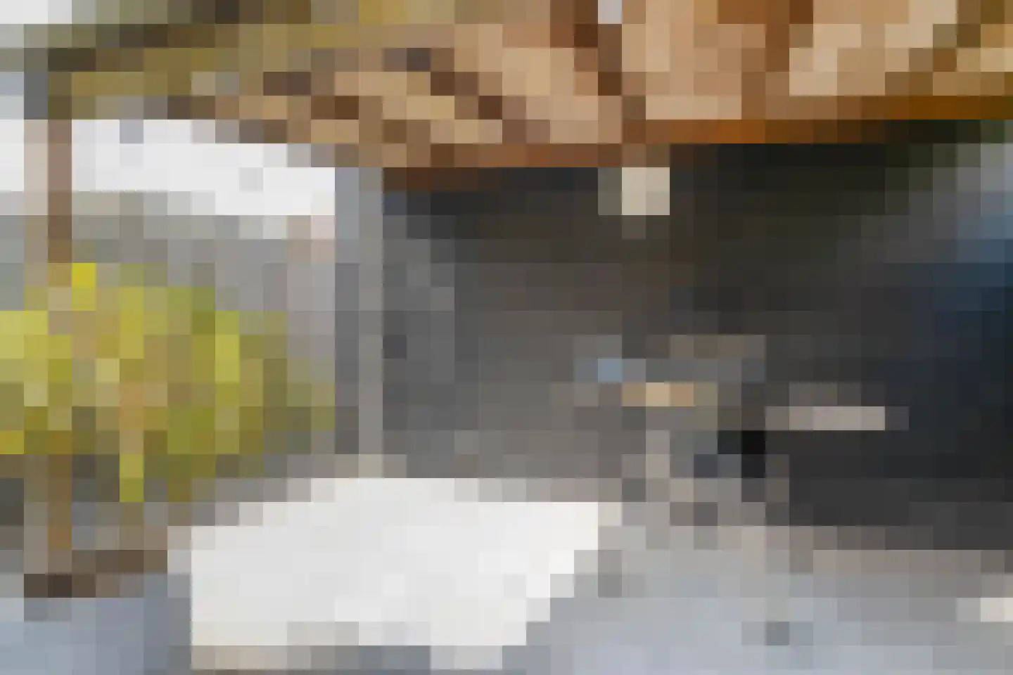 Mr.Eenhuisstraat 43 Haaksbergen thumbnail 36
