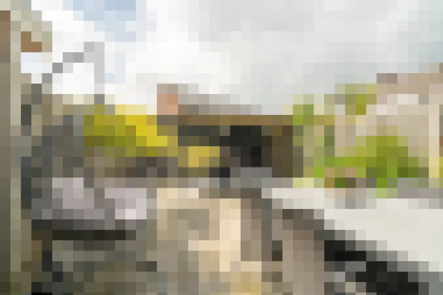 Mr.Eenhuisstraat 43 Haaksbergen thumbnail 4