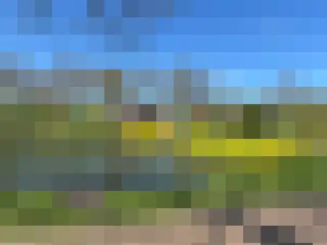 Mr Egter v Wissekerkepln 11 Brielle thumbnail 43