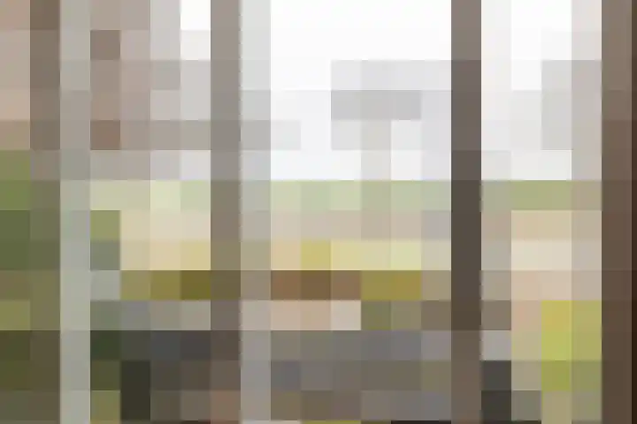 Mr Egter v Wissekerkepln 7 Brielle thumbnail 11