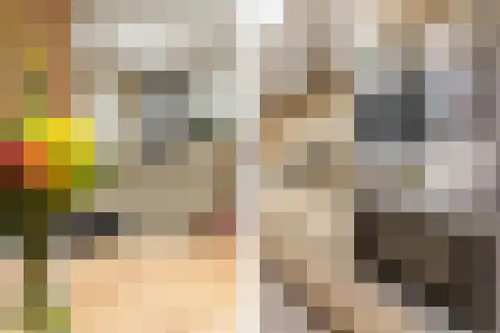Mr Egter v Wissekerkepln 7 Brielle thumbnail 15