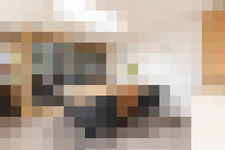 Mr Egter v Wissekerkepln 7 Brielle thumbnail 17