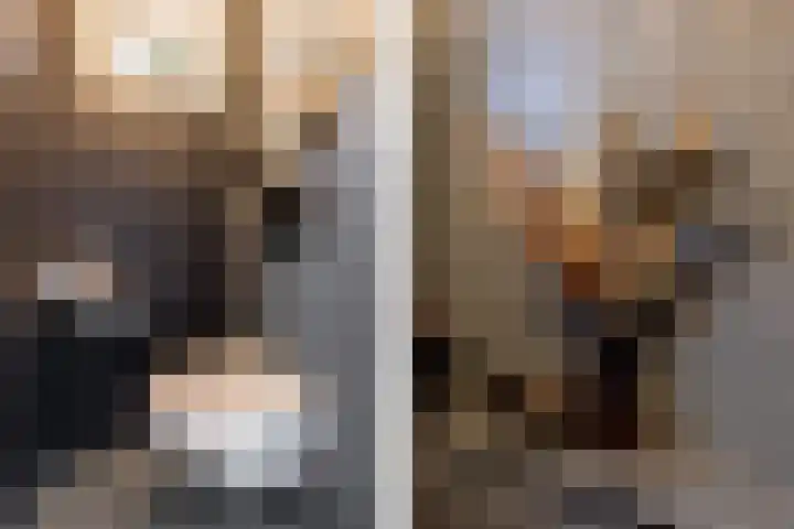 Mr Egter v Wissekerkepln 7 Brielle thumbnail 19