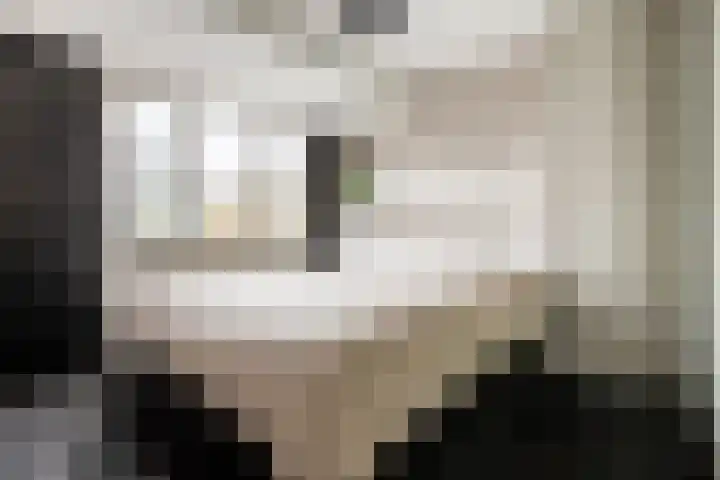 Mr Egter v Wissekerkepln 7 Brielle thumbnail 20