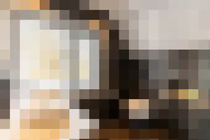 Mr Egter v Wissekerkepln 7 Brielle thumbnail 22