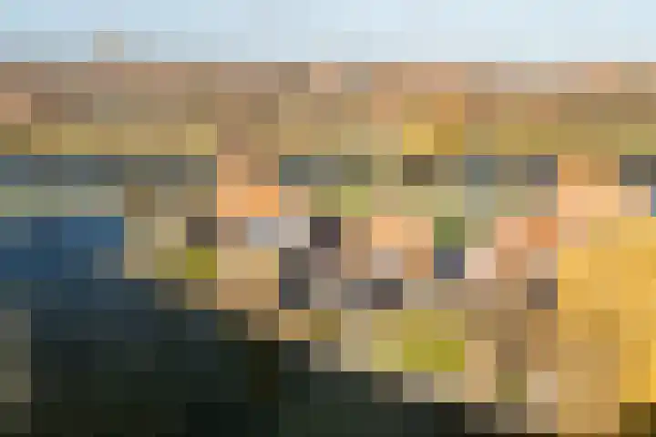 Mr Egter v Wissekerkepln 7 Brielle thumbnail 31
