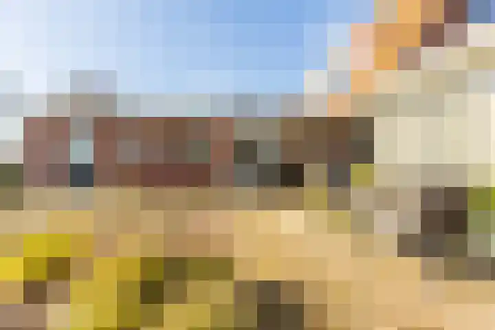 Mr Egter v Wissekerkepln 7 Brielle thumbnail 32