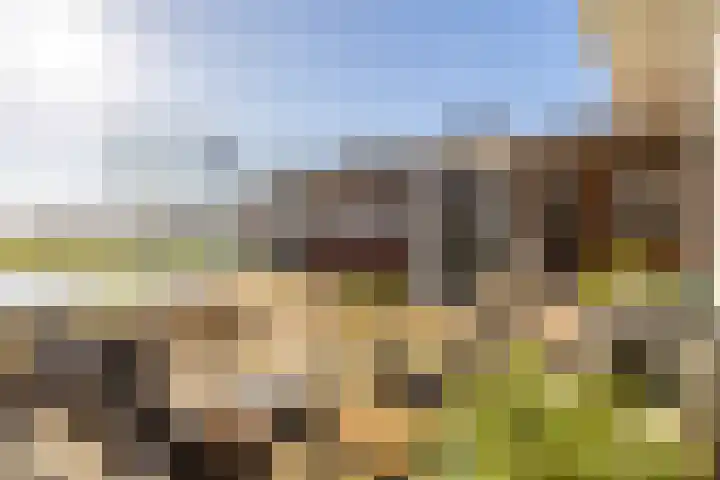 Mr Egter v Wissekerkepln 7 Brielle thumbnail 33