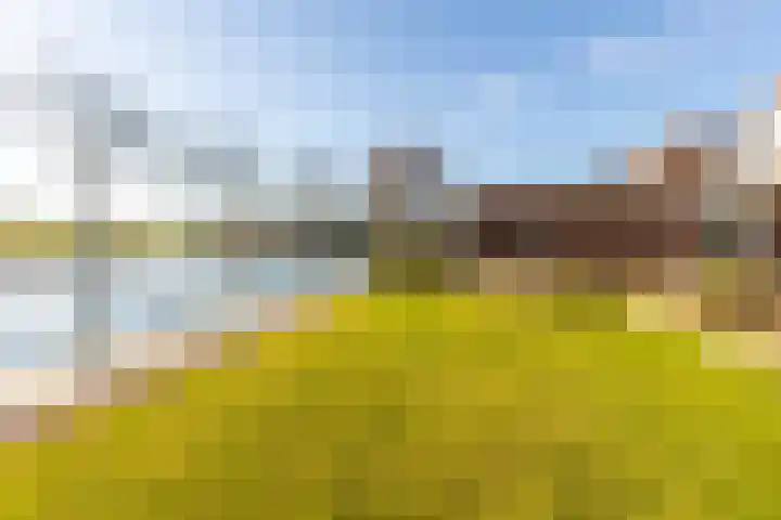 Mr Egter v Wissekerkepln 7 Brielle thumbnail 34