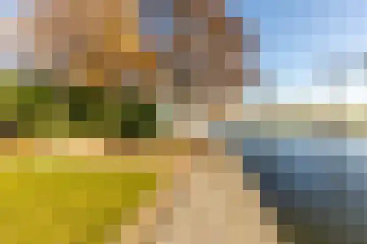 Mr Egter v Wissekerkepln 7 Brielle thumbnail 35