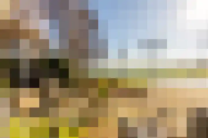 Mr Egter v Wissekerkepln 7 Brielle thumbnail 36