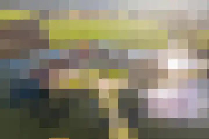 Mr Egter v Wissekerkepln 7 Brielle thumbnail 4