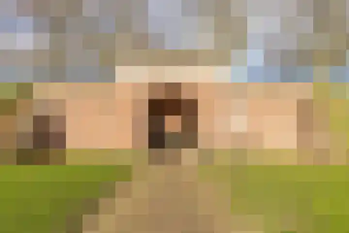 Mr Egter v Wissekerkepln 7 Brielle thumbnail 41
