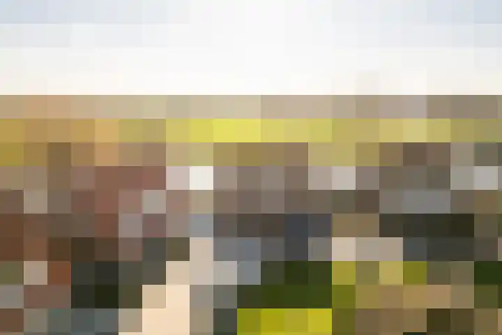 Mr Egter v Wissekerkepln 7 Brielle thumbnail 5