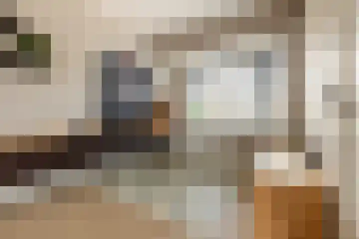Mr Egter v Wissekerkepln 7 Brielle thumbnail 7
