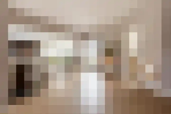 Mr Egter v Wissekerkepln 7 Brielle thumbnail 8