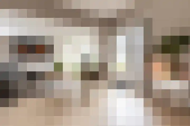 Mr Egter v Wissekerkepln 7 Brielle thumbnail 9