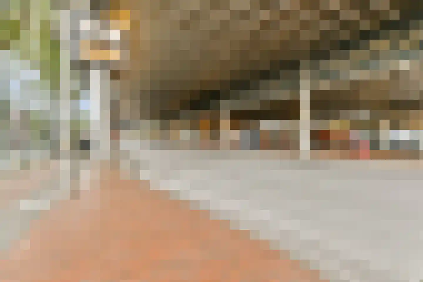 Mr. F.A. van Hallweg 146 Amstelveen thumbnail 24