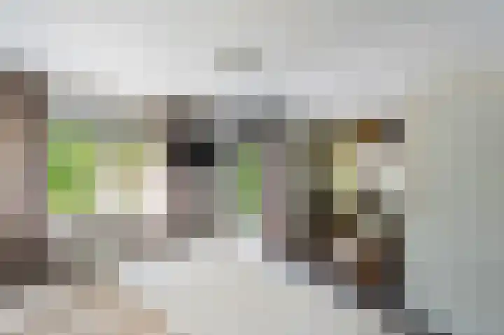 Mr. F.A. van Hallweg 21 Amstelveen thumbnail 24