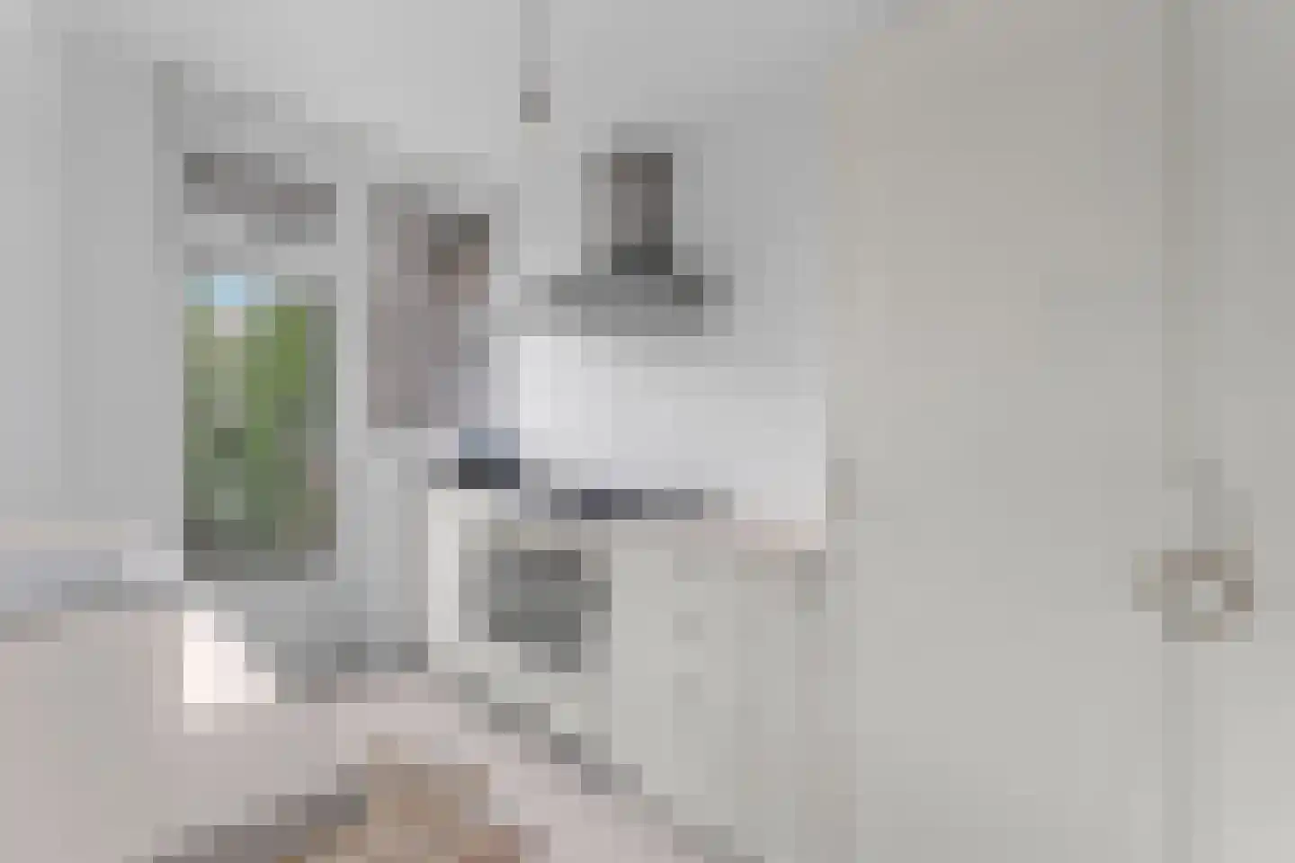Mr. F.A. van Hallweg 47 Amstelveen thumbnail 14