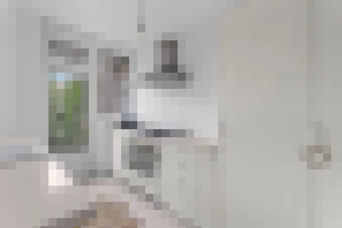 Mr. F.A. van Hallweg 47 Amstelveen thumbnail 14