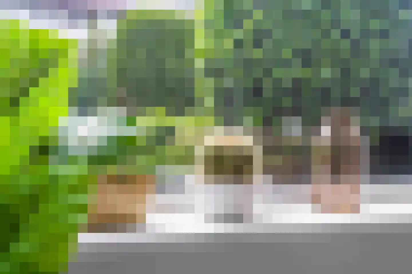 Mr. F.A. van Hallweg 47 Amstelveen thumbnail 17