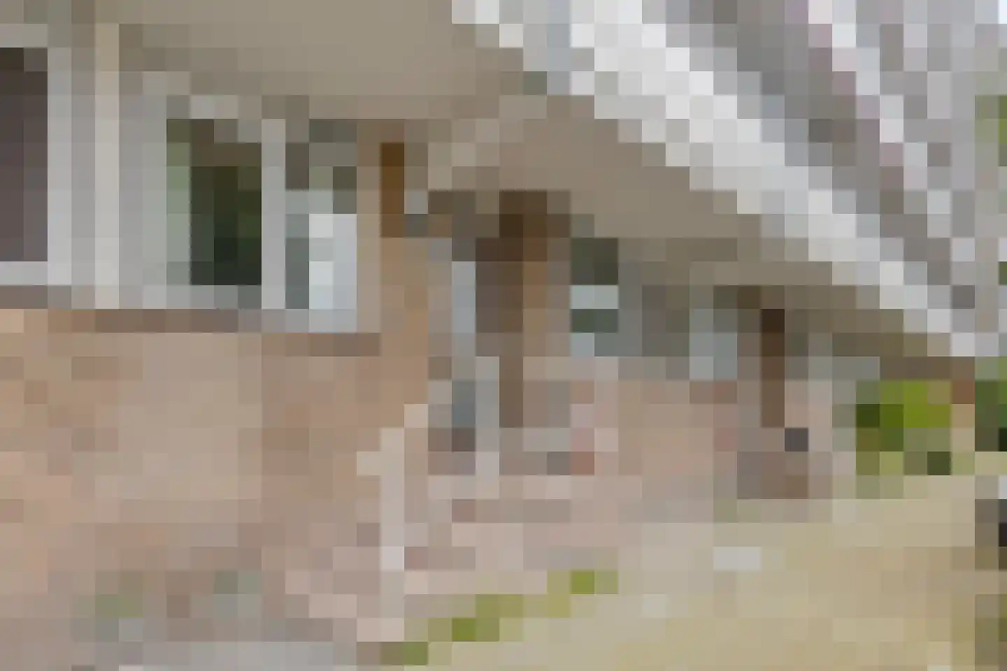 Mr. F.A. van Hallweg 50 Amstelveen thumbnail 21