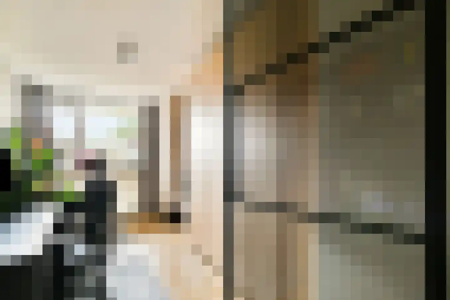 Mr. F.A. van Hallweg 58 Amstelveen thumbnail 8