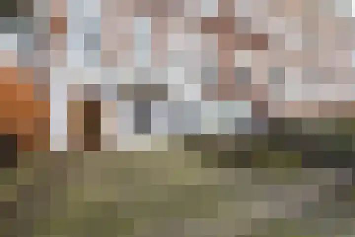 Mr. Franckenstraat 15 Nijmegen thumbnail 5