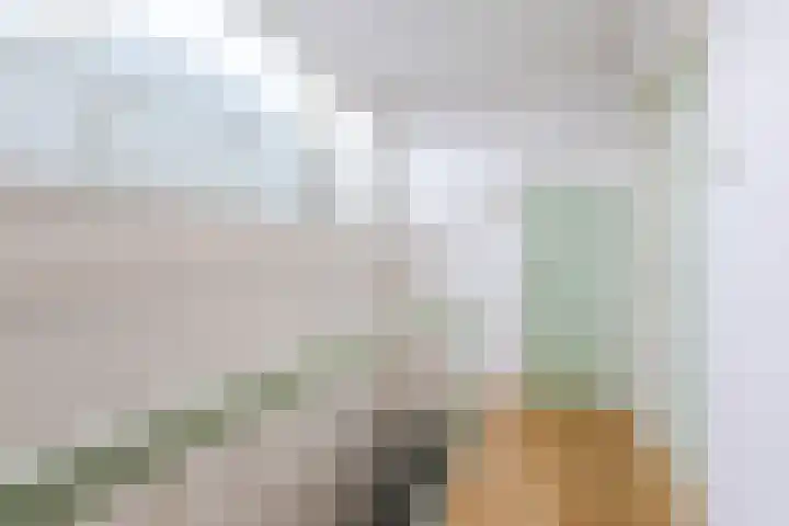 Mr. Franckenstraat 15 Nijmegen thumbnail 50