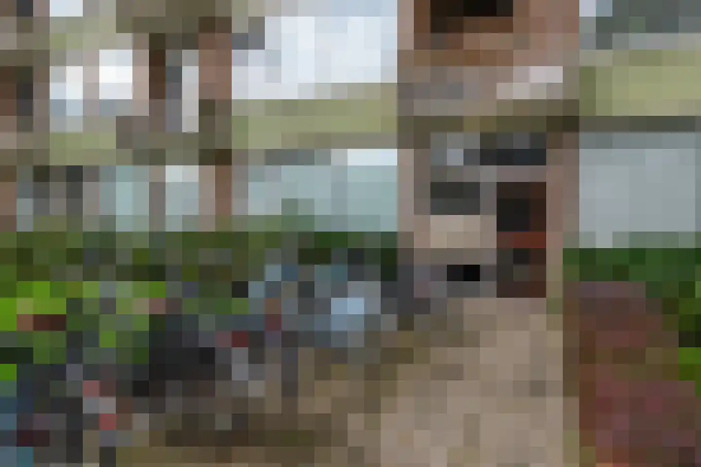 Mr. Franckenstraat 46 Nijmegen thumbnail 5