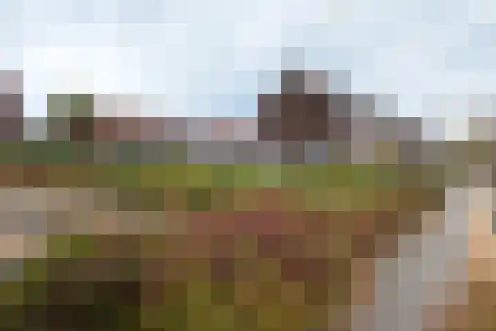 Mr.G.G.v.Prinstererstraat 38 Neede thumbnail 27