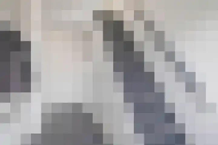 Mr G Groen van Prinstererlaan 11 Zuidland thumbnail 12