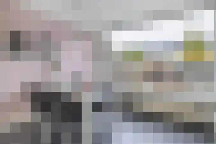 Mr G Groen van Prinstererlaan 11 Zuidland thumbnail 16