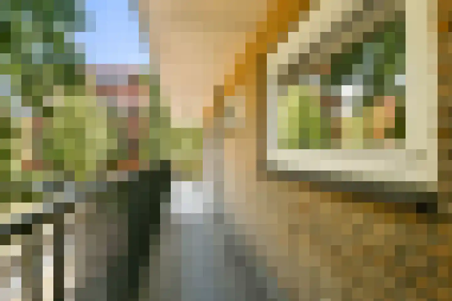 Mr. G. Groen van Prinstererlaan 137 Amstelveen thumbnail 22