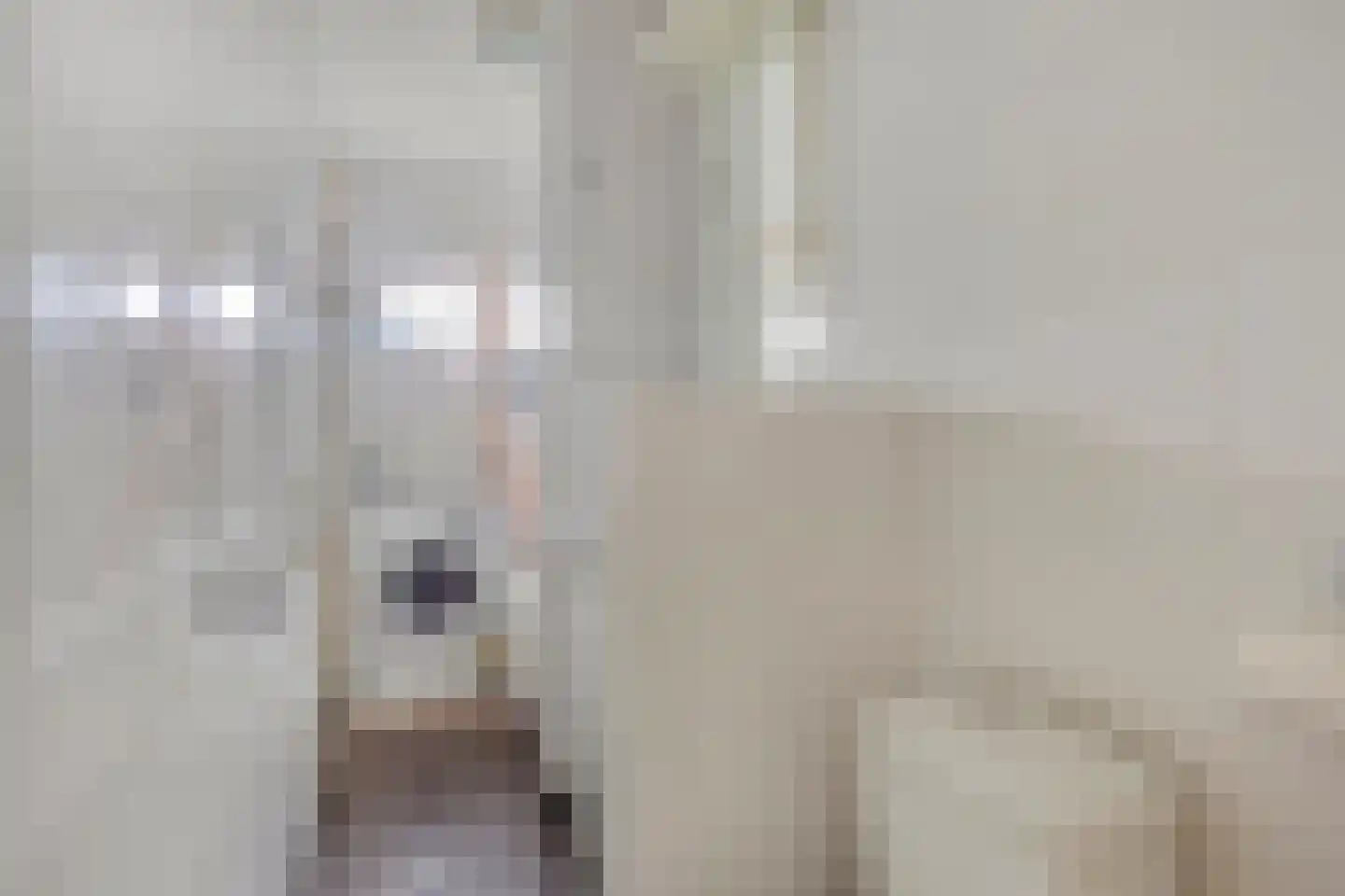 Mr. G. Groen van Prinstererlaan 153 Amstelveen thumbnail 23